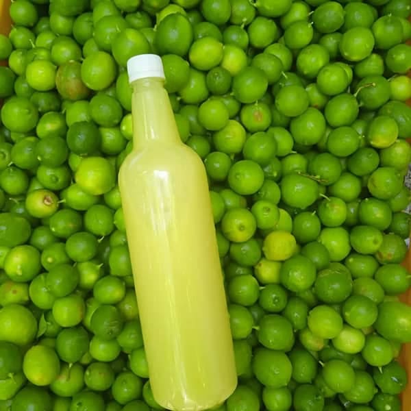 لیمو ترش سبز ممتاز برای تهیه آبلیمو طبیعی